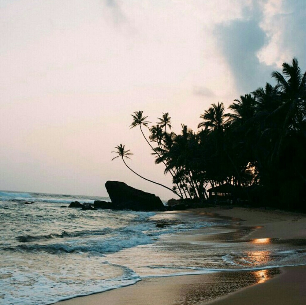 Meet your Posher, Lusa